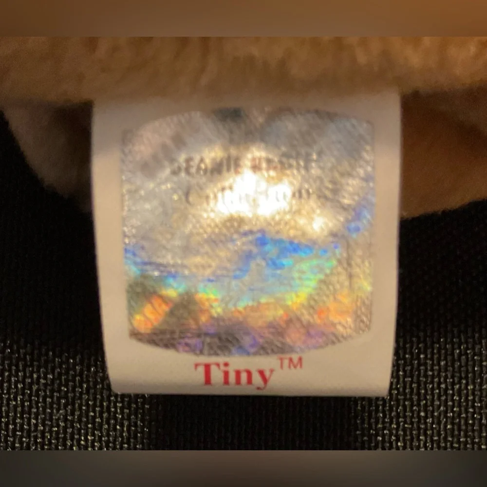 Adorable Ty “Tiny” beanie Baby 🐕 Chihuahua dog